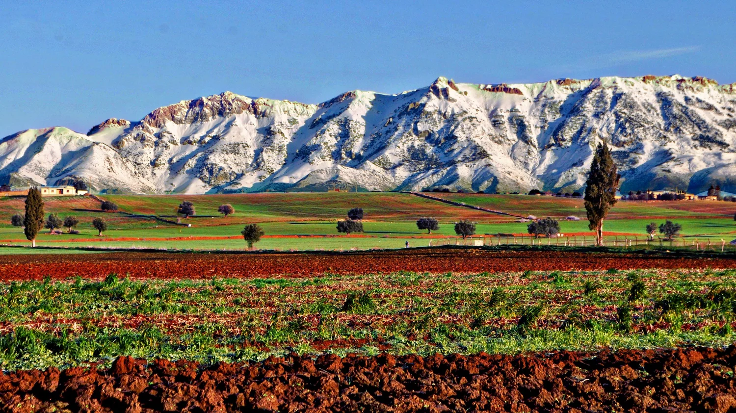 La neige : l’autre potentiel touristique insolite de l’Algérie
