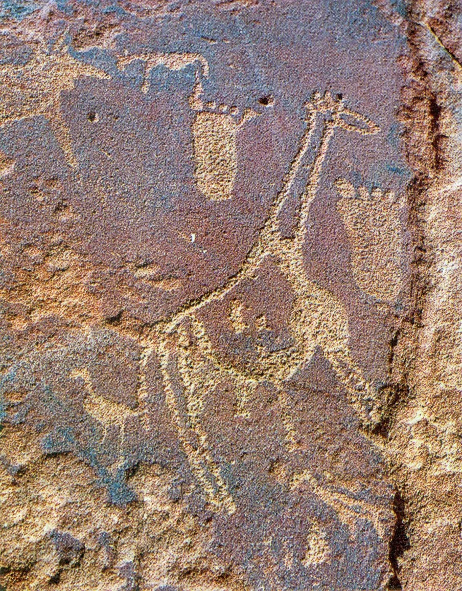 Des gravures rupestres dans les montagnes du Tassili n’Ajjer, en Algérie